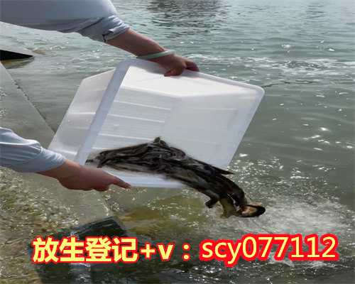 广州放生三条鲤鱼，广州祝福放生鱼的经典句子，广州2月份可以放生泥鳅吗为