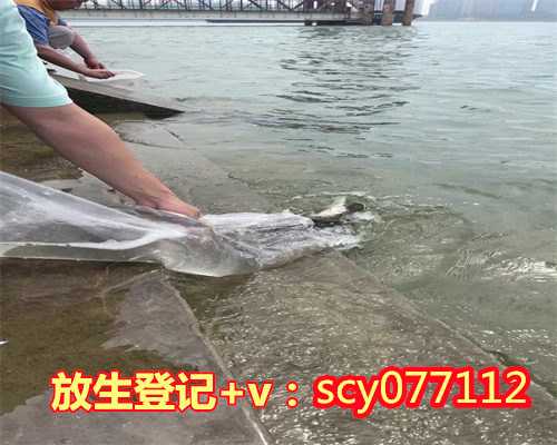 广州几点放生合适，广州佛教放生财鱼有什么功德，广州放生泥鳅要放多少斤能